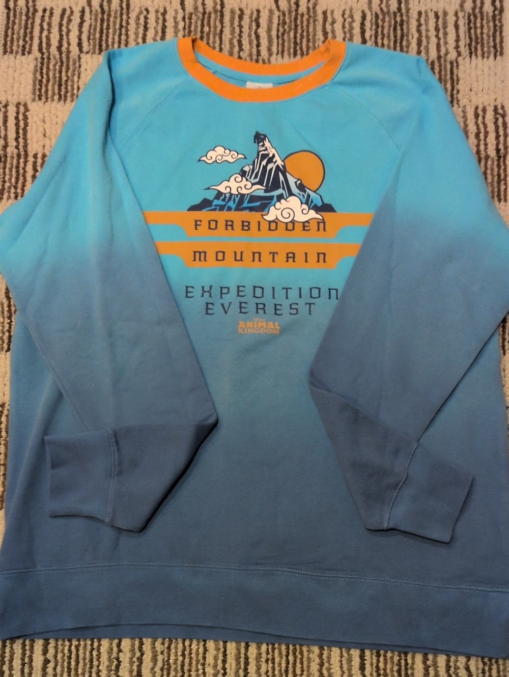 Disney Blue and Gold Forbidden Mountain Expedition Sweatshirt